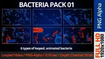 Free download Bacteria Pack 1 | Motion Graphics - Videohive template video and edit with RedcoolMedia movie maker MovieStudio video editor online and AudioStudio audio editor onlin