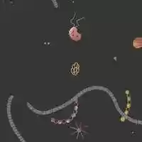 Free download Bacteria Pattern Looping Animation video and edit with RedcoolMedia movie maker MovieStudio video editor online and AudioStudio audio editor onlin