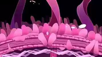 Free download Bacterium Dive video and edit with RedcoolMedia movie maker MovieStudio video editor online and AudioStudio audio editor onlin