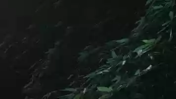 Free download B A L I video and edit with RedcoolMedia movie maker MovieStudio video editor online and AudioStudio audio editor onlin