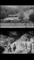 Free download Ballad of a Southern Midwife Social Assets 2 video and edit with RedcoolMedia movie maker MovieStudio video editor online and AudioStudio audio editor onlin