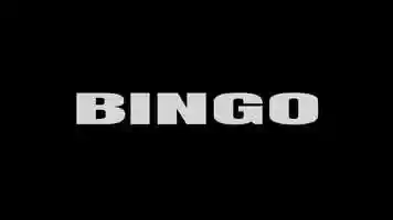 Free download BANGING BINGO PROMO video and edit with RedcoolMedia movie maker MovieStudio video editor online and AudioStudio audio editor onlin