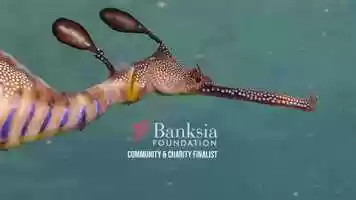 Free download BANKSIA AWARD COMMUNITY CHARITY  FINALIST - THE ONLY BUTT CAMPAIGN video and edit with RedcoolMedia movie maker MovieStudio video editor online and AudioStudio audio editor onlin