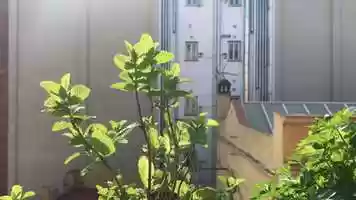 Free download Barcelona. Ester Molera, Institut Maria Espinalt, abril de 2020 video and edit with RedcoolMedia movie maker MovieStudio video editor online and AudioStudio audio editor onlin