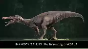 Free download BARYONYX WALKERI  The fish-eating DINOSAUR video and edit with RedcoolMedia movie maker MovieStudio video editor online and AudioStudio audio editor onlin