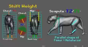 Free download Basic Lion Walk. video and edit with RedcoolMedia movie maker MovieStudio video editor online and AudioStudio audio editor onlin