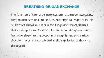 Free download Basic Science Jss1 Respiration-1.m4v video and edit with RedcoolMedia movie maker MovieStudio video editor online and AudioStudio audio editor onlin