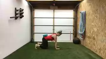 Free download Bear Crawl Hover video and edit with RedcoolMedia movie maker MovieStudio video editor online and AudioStudio audio editor onlin