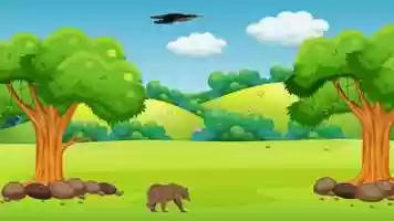 Free download Bear walk and Birds fly animation video and edit with RedcoolMedia movie maker MovieStudio video editor online and AudioStudio audio editor onlin