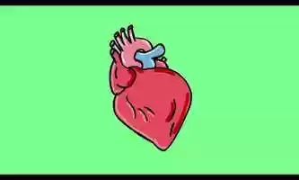 Free download Beating Heart  Cartoon 2D Animation video and edit with RedcoolMedia movie maker MovieStudio video editor online and AudioStudio audio editor onlin