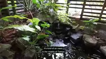 Free download Beautification and Education: Support the USF Botanical Gardens video and edit with RedcoolMedia movie maker MovieStudio video editor online and AudioStudio audio editor onlin