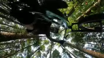 Free download Beaver Lodge Trails video and edit with RedcoolMedia movie maker MovieStudio video editor online and AudioStudio audio editor onlin