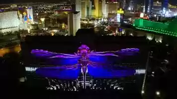 Free download Behind the Scenes of the Brightest Projection Mapping Display Ever Created in the US video and edit with RedcoolMedia movie maker MovieStudio video editor online and AudioStudio audio editor onlin