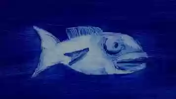 Free download Being a fish video and edit with RedcoolMedia movie maker MovieStudio video editor online and AudioStudio audio editor onlin