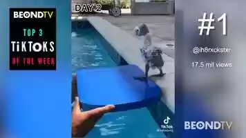 Free download BEONDTVS Top 3 TikToks of the week Oct. 9th video and edit with RedcoolMedia movie maker MovieStudio video editor online and AudioStudio audio editor onlin