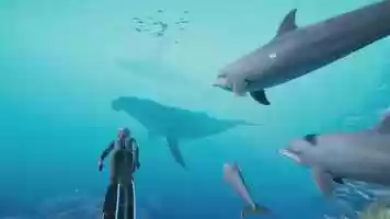 Free download Beyond Blue release date announcement trailer video and edit with RedcoolMedia movie maker MovieStudio video editor online and AudioStudio audio editor onlin