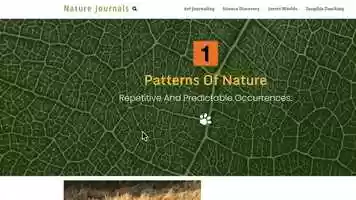 Free download BI 101 Overview 21.mp4 video and edit with RedcoolMedia movie maker MovieStudio video editor online and AudioStudio audio editor onlin