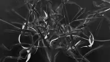 Free download Bid The Outraged World Be Free video and edit with RedcoolMedia movie maker MovieStudio video editor online and AudioStudio audio editor onlin