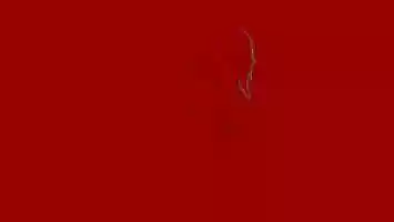 Free download Big Leap video and edit with RedcoolMedia movie maker MovieStudio video editor online and AudioStudio audio editor onlin