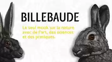 Free download Billebaude - Animation  partir de photos video and edit with RedcoolMedia movie maker MovieStudio video editor online and AudioStudio audio editor onlin