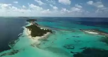 Free download Bimini Island | The Bahamas | 201804 |Honneymoon Harbour Stingrays |002 video and edit with RedcoolMedia movie maker MovieStudio video editor online and AudioStudio audio editor onlin