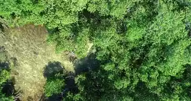 Free download Bimini Island | The Bahamas | 201905 | PIT 2019 |Sharks in the Mangroves | 001 video and edit with RedcoolMedia movie maker MovieStudio video editor online and AudioStudio audio editor onlin
