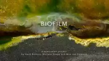 Free download BIOFILM video and edit with RedcoolMedia movie maker MovieStudio video editor online and AudioStudio audio editor onlin