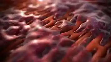 Free download BIOLIFE4D - The Science of Bioprinting a Human Heart video and edit with RedcoolMedia movie maker MovieStudio video editor online and AudioStudio audio editor onlin