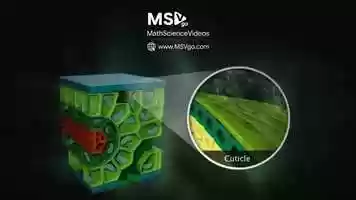 Free download Biology Transpiration video and edit with RedcoolMedia movie maker MovieStudio video editor online and AudioStudio audio editor onlin