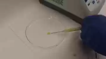 Free download BIOPRF - Bio-filler video and edit with RedcoolMedia movie maker MovieStudio video editor online and AudioStudio audio editor onlin