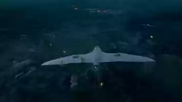 Free download BIRD video and edit with RedcoolMedia movie maker MovieStudio video editor online and AudioStudio audio editor onlin