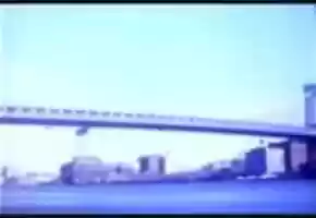 Free download Black Cobra video and edit with RedcoolMedia movie maker MovieStudio video editor online and AudioStudio audio editor onlin