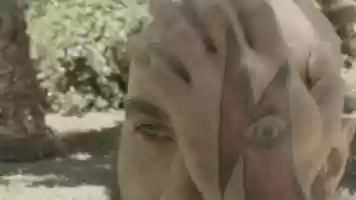 Free download Blackmagic Pocket Cinema Camera_1_2018-06-10_1052_C0028 video and edit with RedcoolMedia movie maker MovieStudio video editor online and AudioStudio audio editor onlin