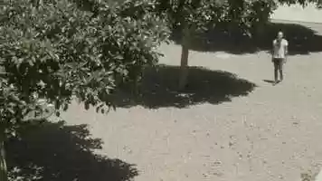 Free download Blackmagic Pocket Cinema Camera_1_2018-06-10_1108_C0033 video and edit with RedcoolMedia movie maker MovieStudio video editor online and AudioStudio audio editor onlin