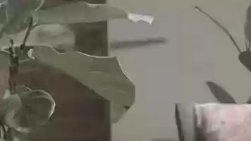 Free download Blackmagic Pocket Cinema Camera mh_1_2000-01-22_0013_C0004 video and edit with RedcoolMedia movie maker MovieStudio video editor online and AudioStudio audio editor onlin