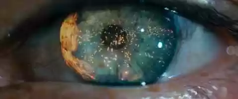 Free download BLADE RUNNER TRAILER x SCREAMSCHOOL video and edit with RedcoolMedia movie maker MovieStudio video editor online and AudioStudio audio editor onlin