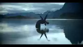 Free download Bloom video and edit with RedcoolMedia movie maker MovieStudio video editor online and AudioStudio audio editor onlin