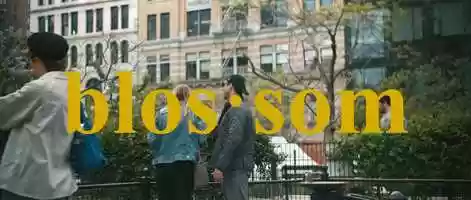 Free download Blossom - BMPCC 4K video and edit with RedcoolMedia movie maker MovieStudio video editor online and AudioStudio audio editor onlin