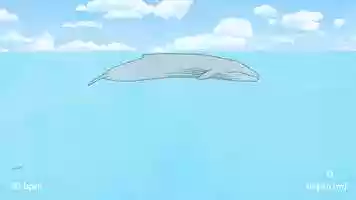 Free download BlueHeartBeat_Animation video and edit with RedcoolMedia movie maker MovieStudio video editor online and AudioStudio audio editor onlin