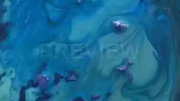 Free download Blue Paints Stock Video video and edit with RedcoolMedia movie maker MovieStudio video editor online and AudioStudio audio editor onlin