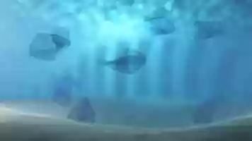 Free download Blue Sea New Sea video and edit with RedcoolMedia movie maker MovieStudio video editor online and AudioStudio audio editor onlin