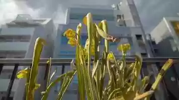 Free download BMPCC4K+Tokina14-20mm Test video and edit with RedcoolMedia movie maker MovieStudio video editor online and AudioStudio audio editor onlin