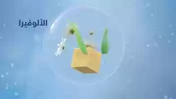 Free download BİNGO BEBE / Liquid Detergent video and edit with RedcoolMedia movie maker MovieStudio video editor online and AudioStudio audio editor onlin