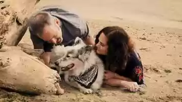 Free download Bodhi_Erin_Bill_Furry Friend Films video and edit with RedcoolMedia movie maker MovieStudio video editor online and AudioStudio audio editor onlin