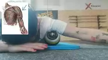 Free download BODY ROLLIG - prsn svaly video and edit with RedcoolMedia movie maker MovieStudio video editor online and AudioStudio audio editor onlin