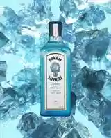 Free download BOMBAYSTIC FLAVOURS video and edit with RedcoolMedia movie maker MovieStudio video editor online and AudioStudio audio editor onlin