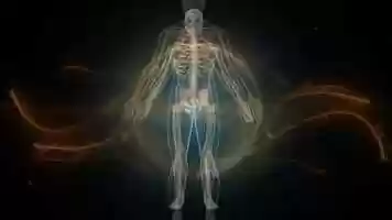 Free download Bonebreathing animation for Intro.mp4 video and edit with RedcoolMedia movie maker MovieStudio video editor online and AudioStudio audio editor onlin