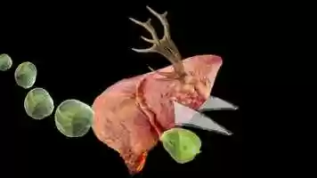 Free download Boogally video and edit with RedcoolMedia movie maker MovieStudio video editor online and AudioStudio audio editor onlin