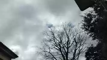 Free download Bordils. Otger, Escola de Bordils, maig de 2020 video and edit with RedcoolMedia movie maker MovieStudio video editor online and AudioStudio audio editor onlin