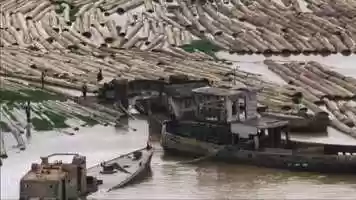 Free download BORNEO CASE TRAILER video and edit with RedcoolMedia movie maker MovieStudio video editor online and AudioStudio audio editor onlin